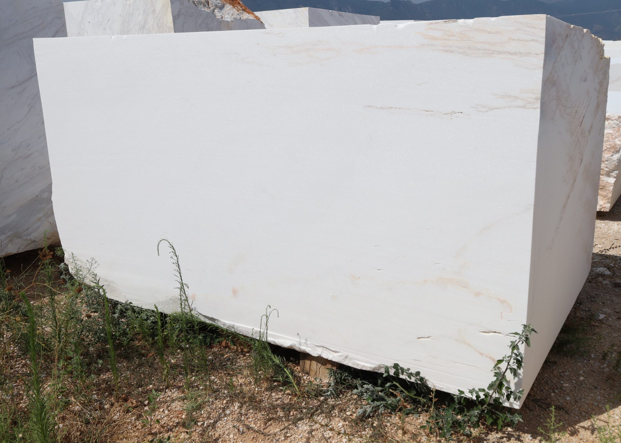THASSOS SPIDER 26245